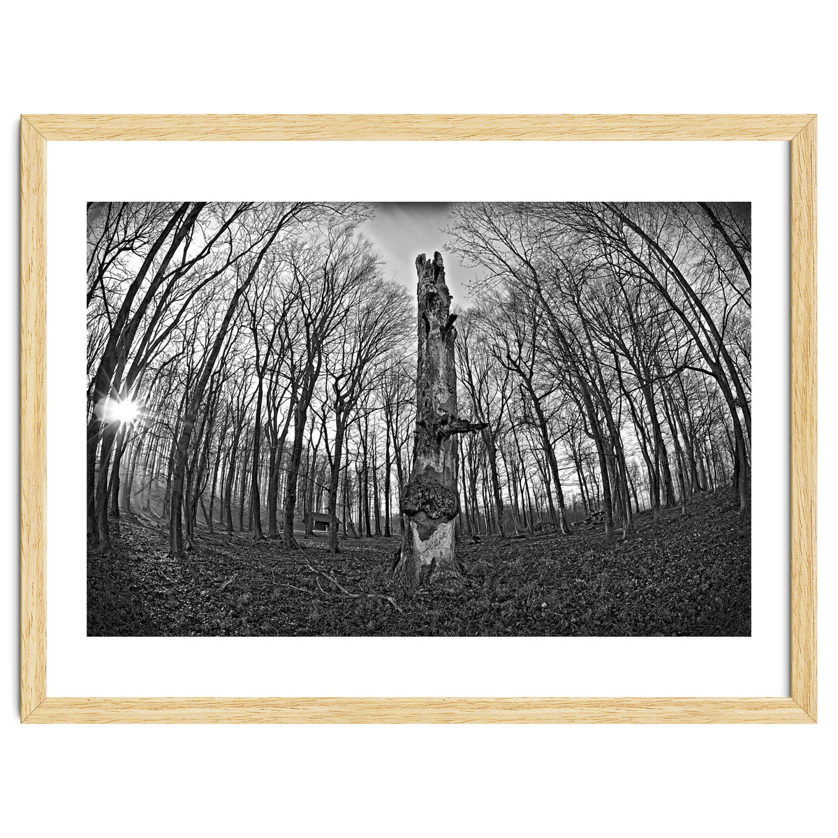 Circle of Growth and decay