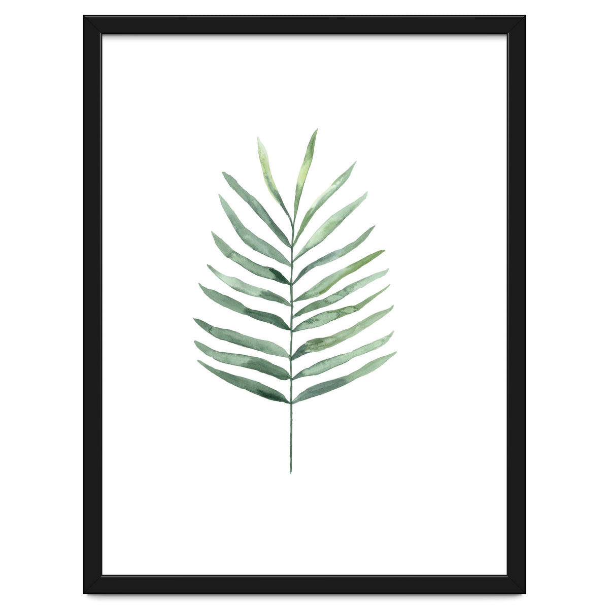 Botanical Illustration Fern