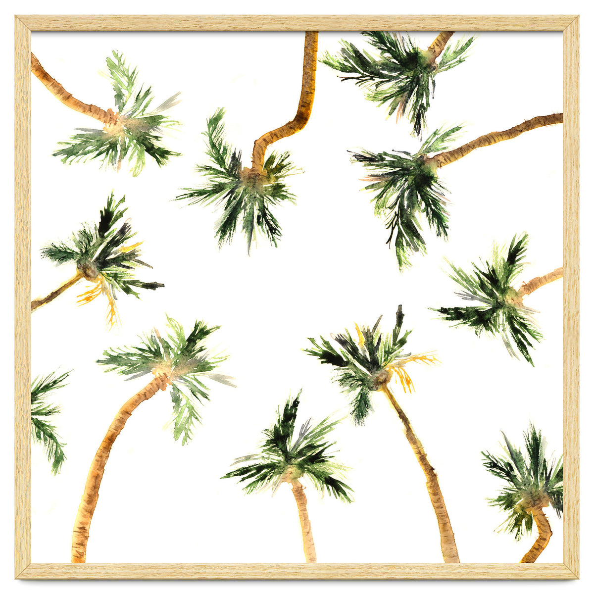 Under the coconut palms || watercolor