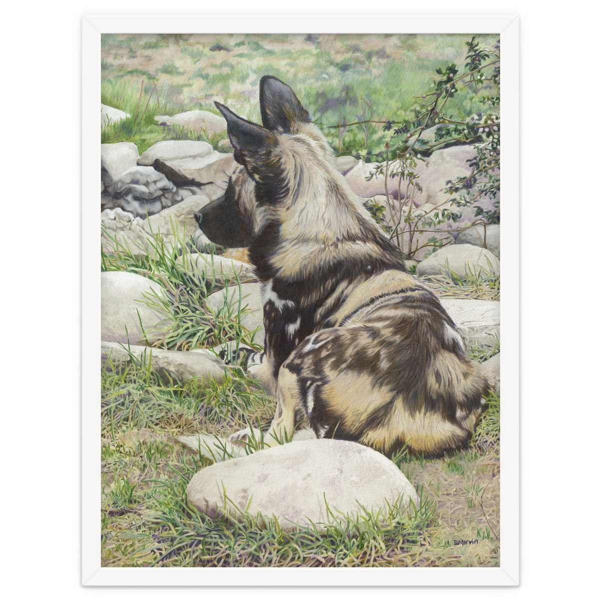 African Painted Dog I