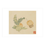 Wang Chengpi ~flowers And Vegetables, Vegetables, Fruits, Epiphyllum, Pears, Peppers (Print Only) thumbnail