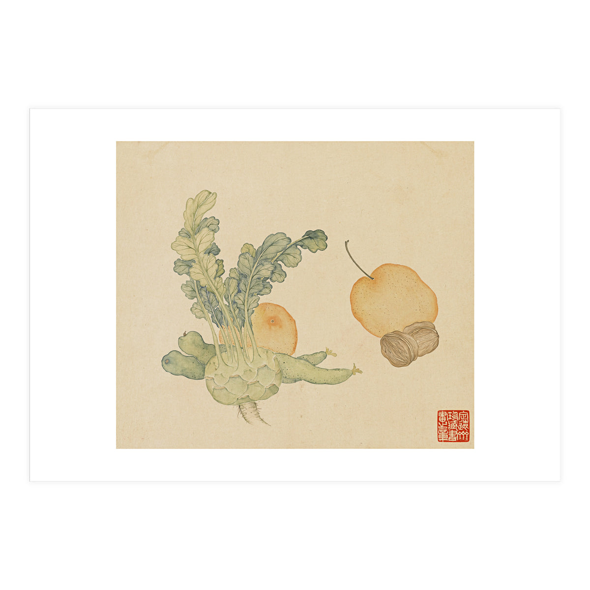Wang Chengpi ~flowers And Vegetables, Vegetables, Fruits, Epiphyllum, Pears, Peppers (Print Only)