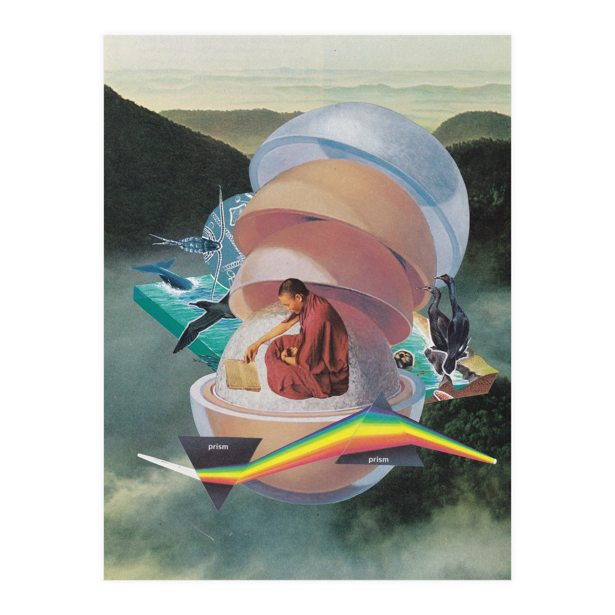 Open Book, Open World (Print Only)