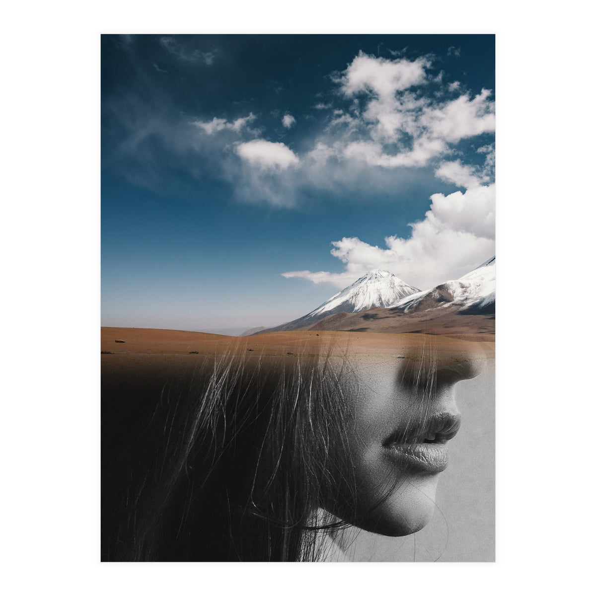 Dream Division 5 (Print Only)