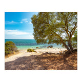 Siesta (Print Only) thumbnail