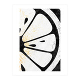 Citrus Collection No4 (Print Only) thumbnail