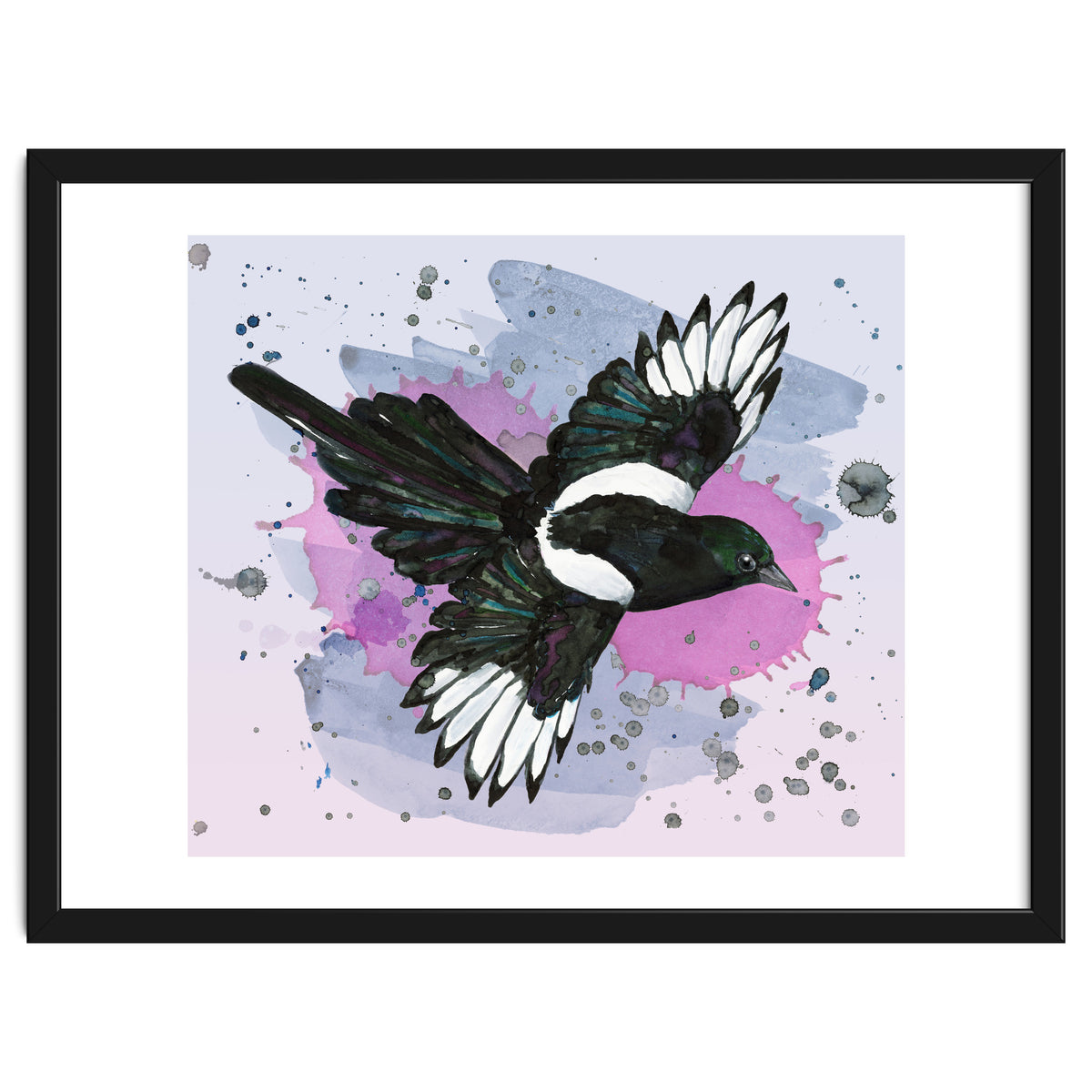 A watercolor drawing of a flying magpie