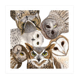 Owls (Print Only) thumbnail