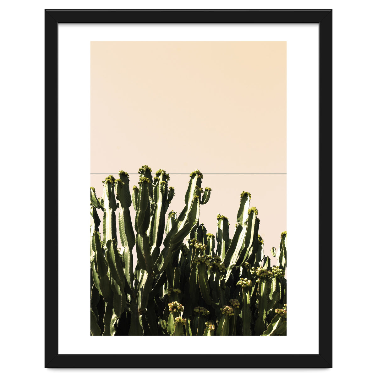 Cactus Vertical Color