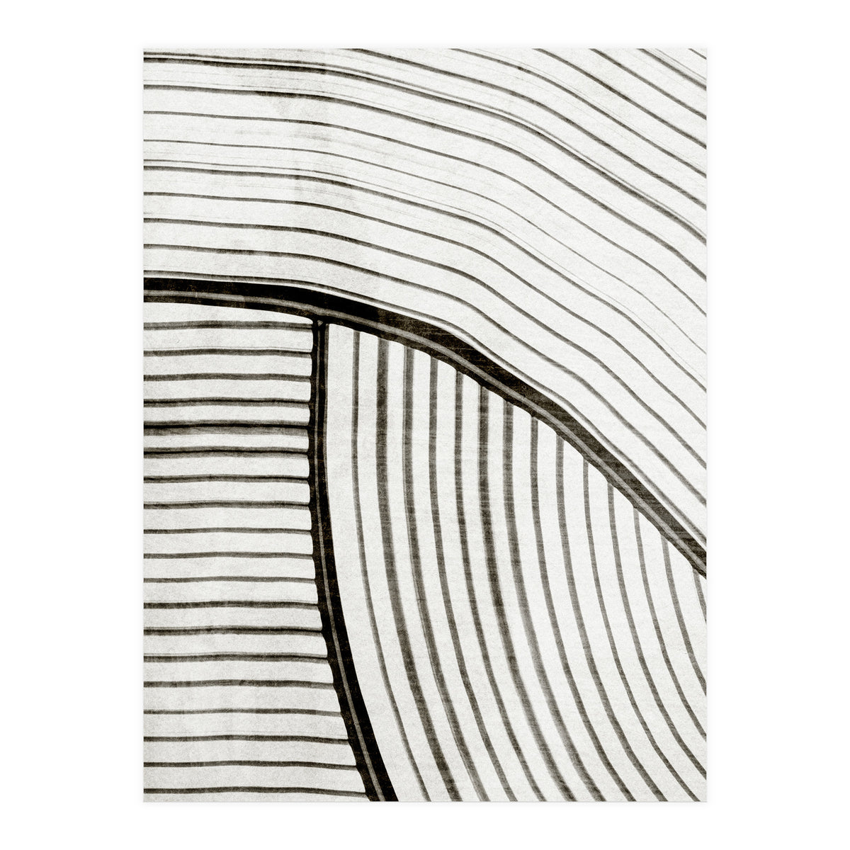 Frequencia4  (Print Only)