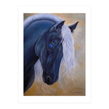 Black Diamond (Print Only) thumbnail