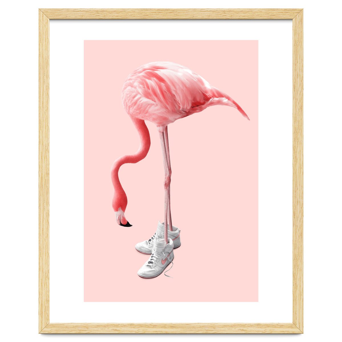 Sneaker Flamingo