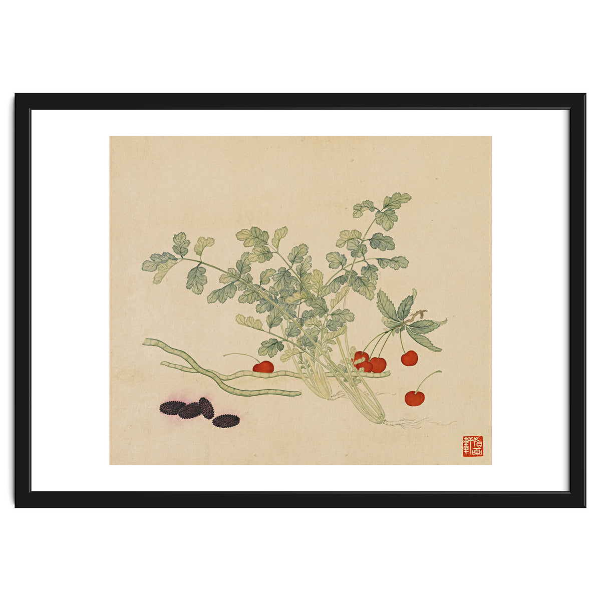 Wang Chengyu~flowers And Vegetables, Vegetables, Fruits, Beans, Red Beans, Cherries, Celery