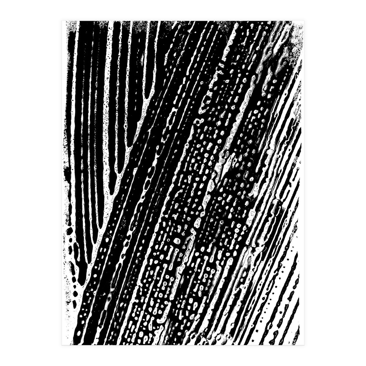 Dizzy 2 (Print Only)