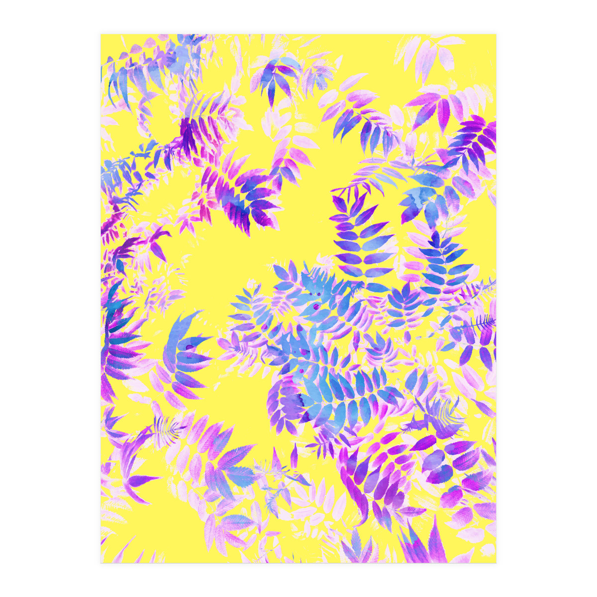 Vibrance (Print Only)