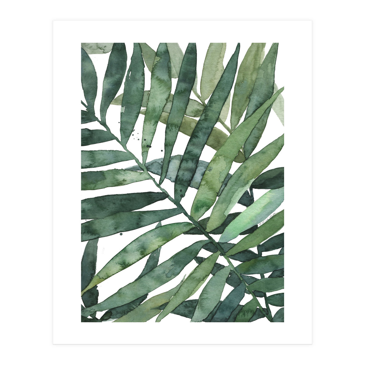 tropical 5 (Print Only)