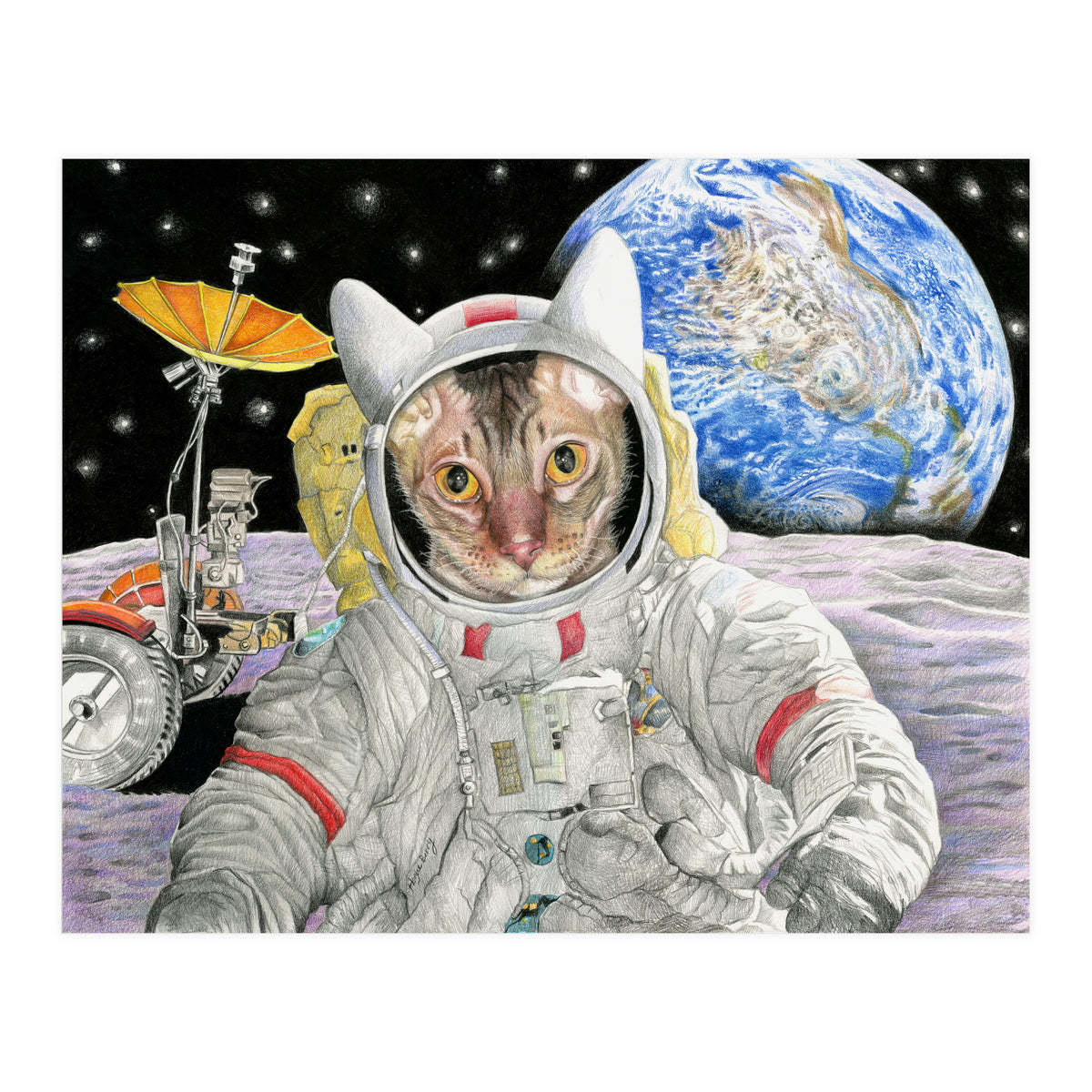 Nasacatadjustcolor (Print Only)