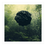Blacks (Print Only) thumbnail
