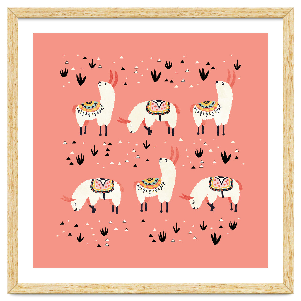 White Llamas In Pink Desert