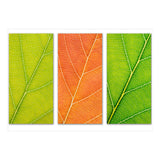 Autumn Leaves (Print Only) thumbnail
