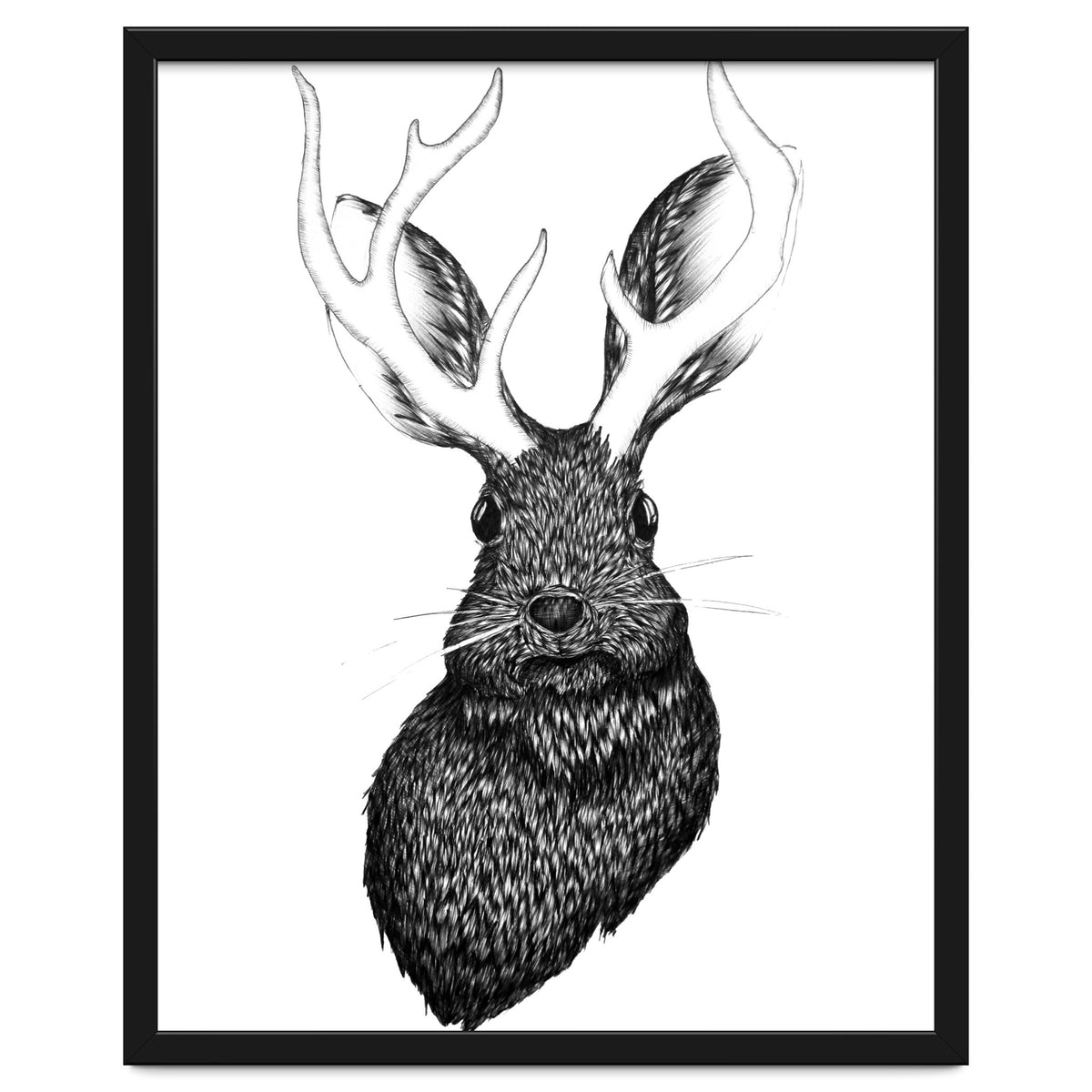 Jackalope