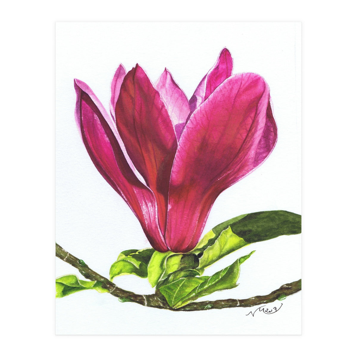 Single Magnolia (Print Only)
