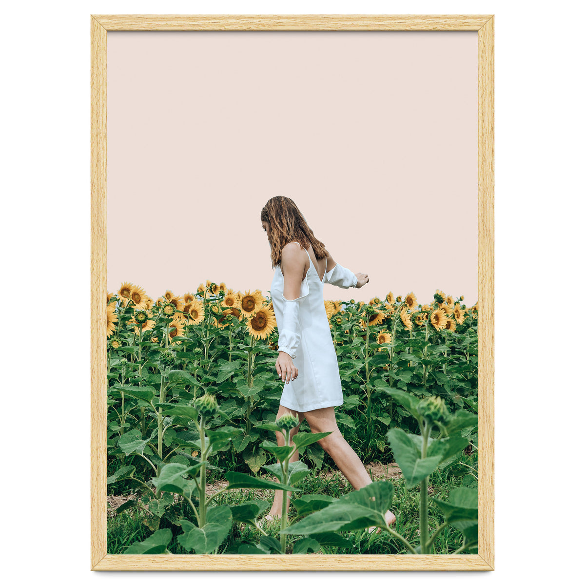 Lost In Sunflowers