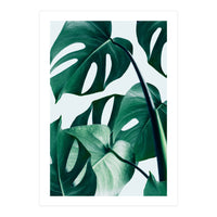 Monstera (Print Only)