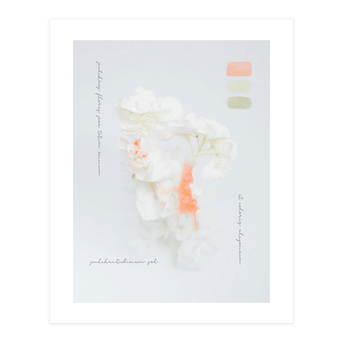 Modern Vintage Botanic (Print Only)