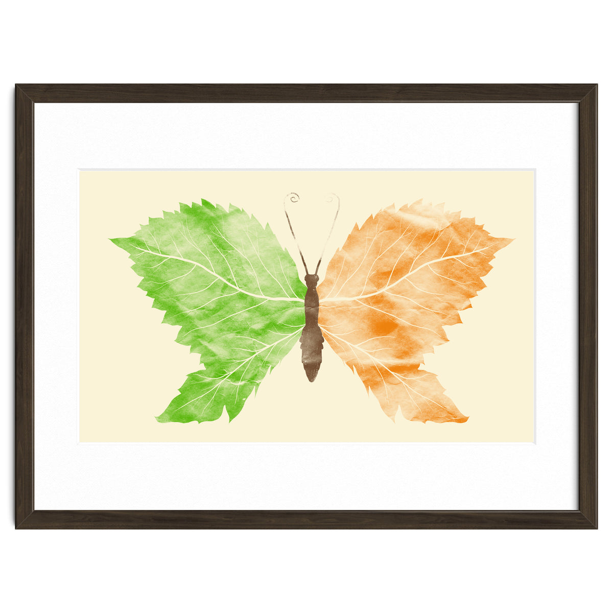 Seasons Change Time Flies