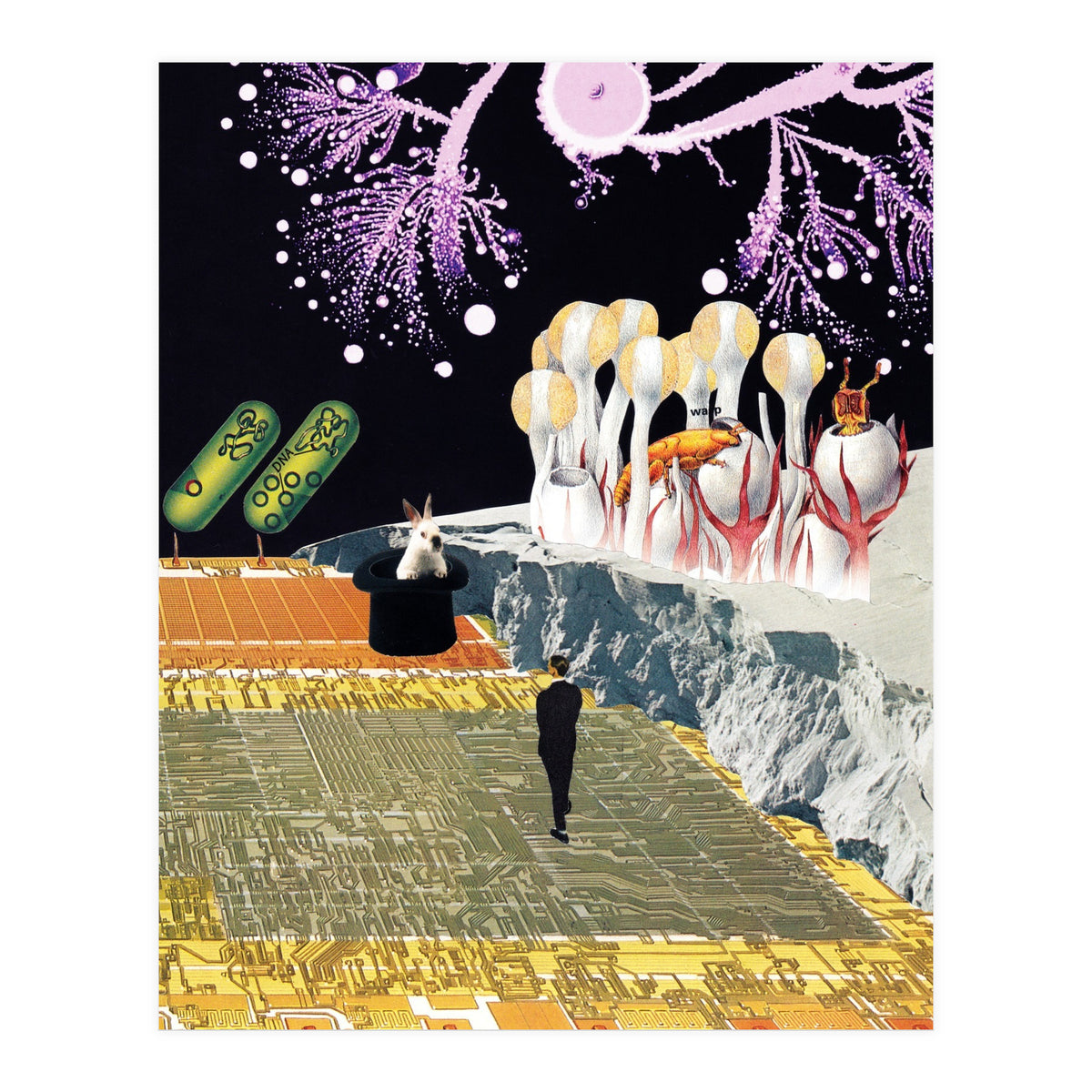 Teleport (Print Only)