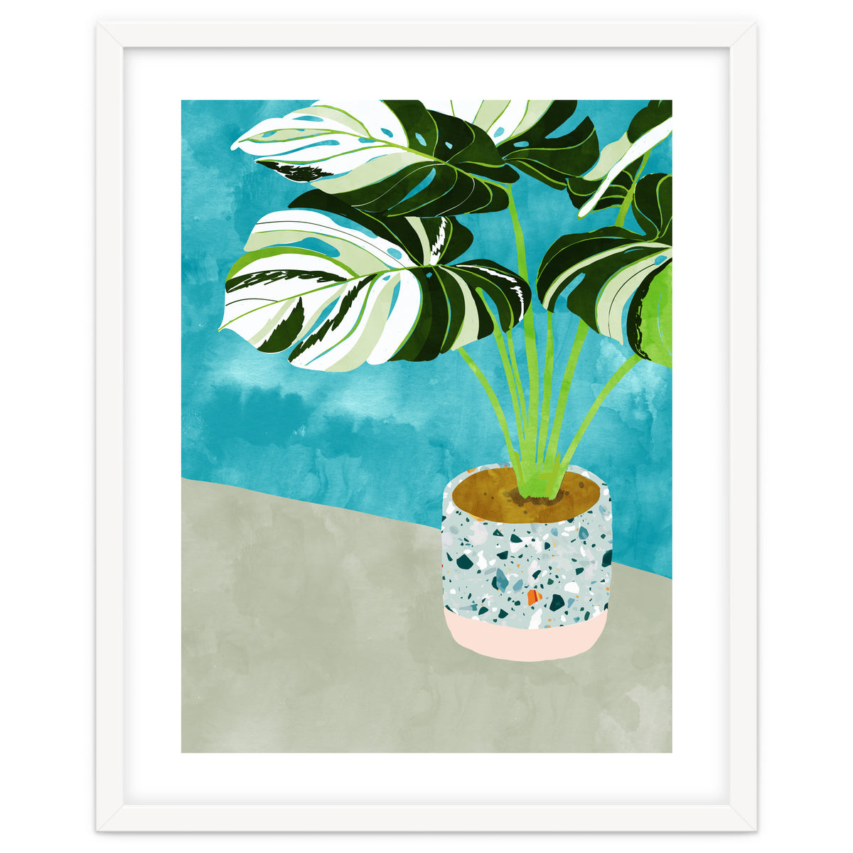 Variegated Monstera