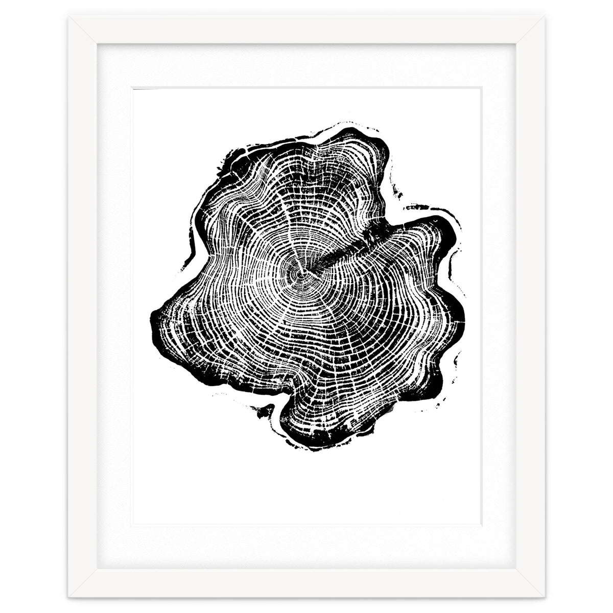 Alaskan Cypress, Tree Ring Art Print, Woodblock