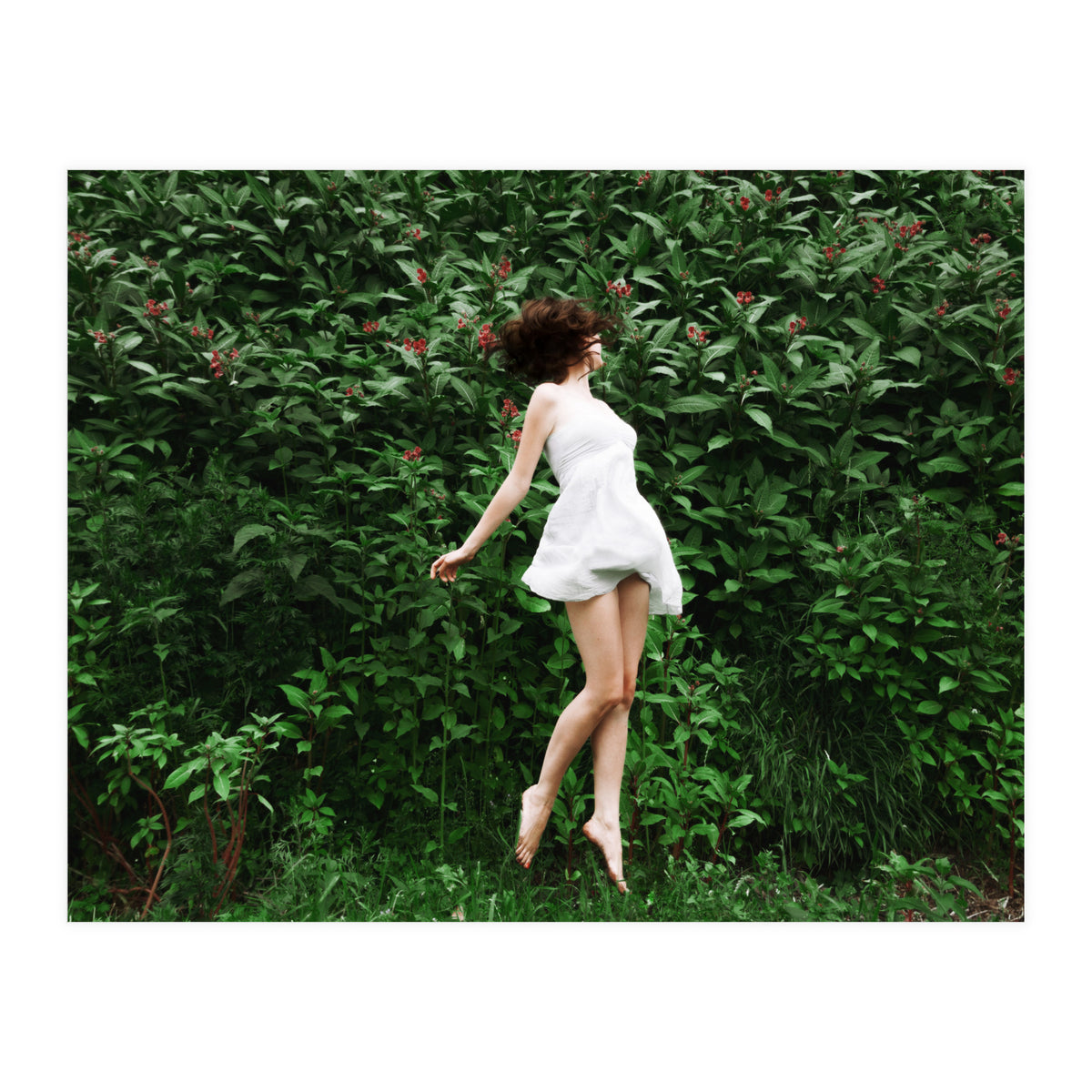 Greenfields (Print Only)