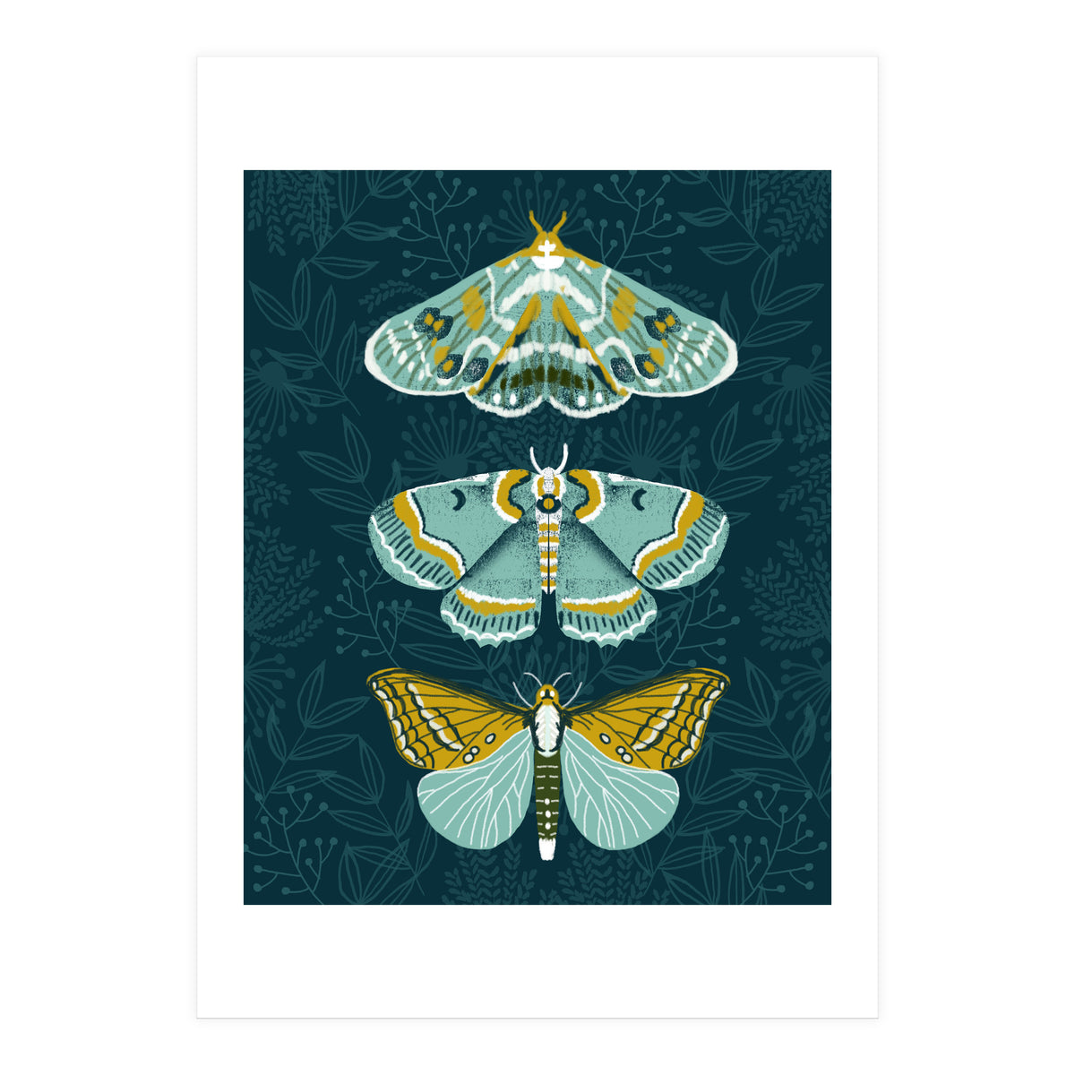 Lepidoptery8 (Print Only)