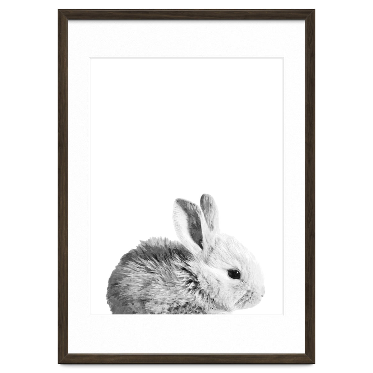 Black and White Bunny Portrait
