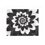 Mono Chrome Flower Spiral Pattern (Print Only) thumbnail