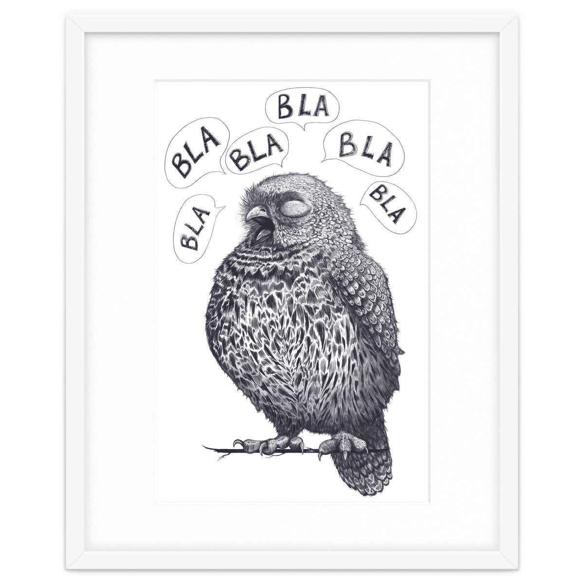 Owl Bla Bla Bla