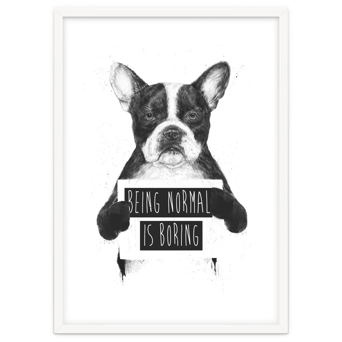 Being Normal Is Boring