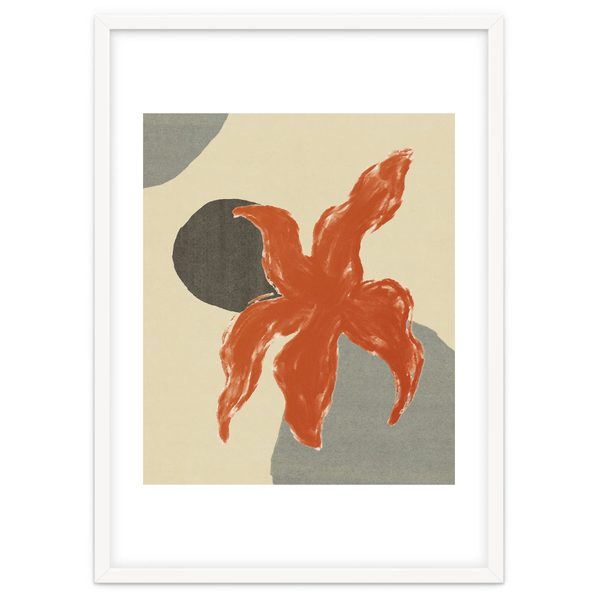 Wobbly Sea Star On Rocks \\ Abstract Composition