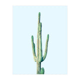 Loner Cactus (Print Only) thumbnail