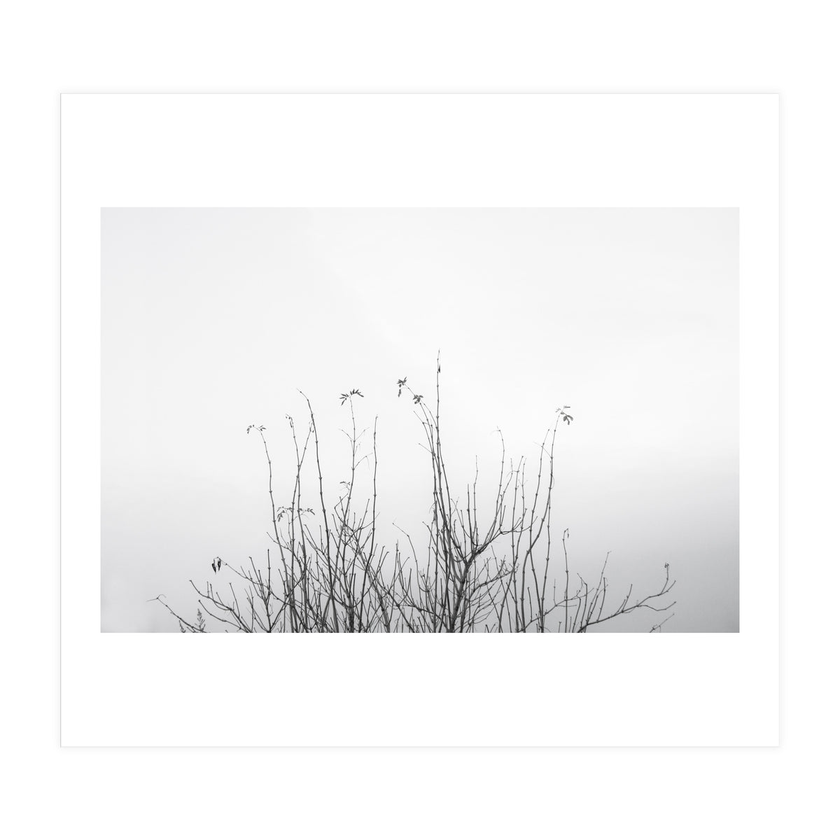 possibly (Print Only)