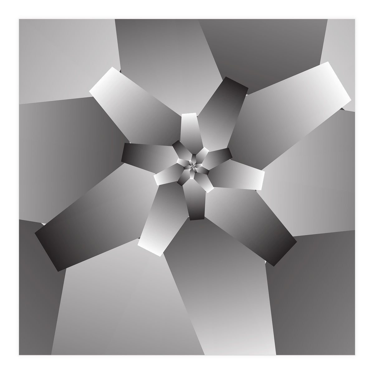 Monochrome Flower  (Print Only)