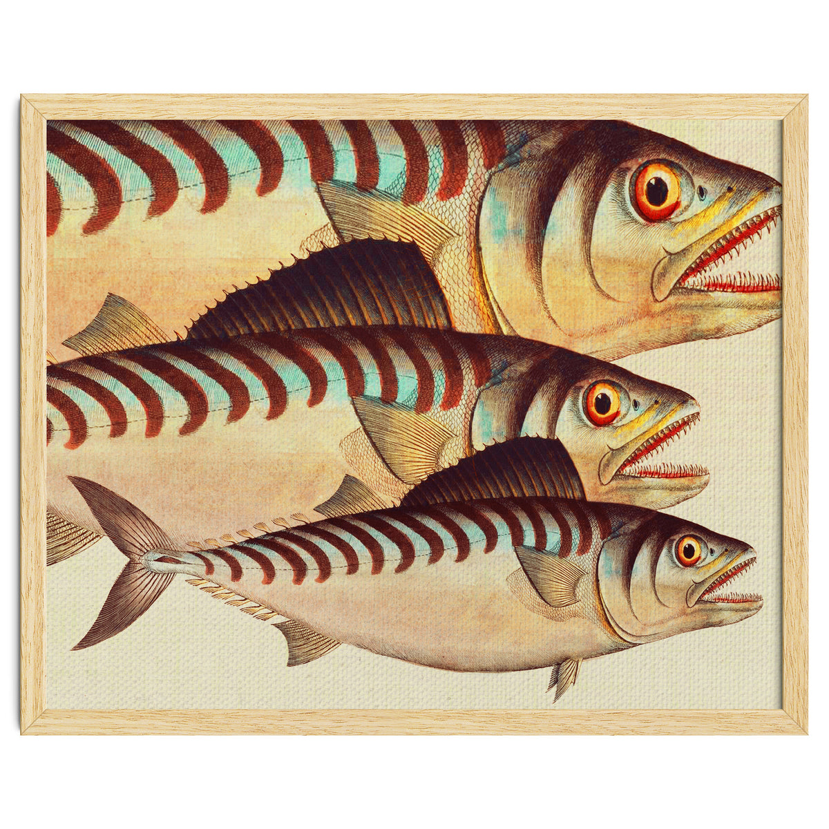 Fish Classic Designs 8