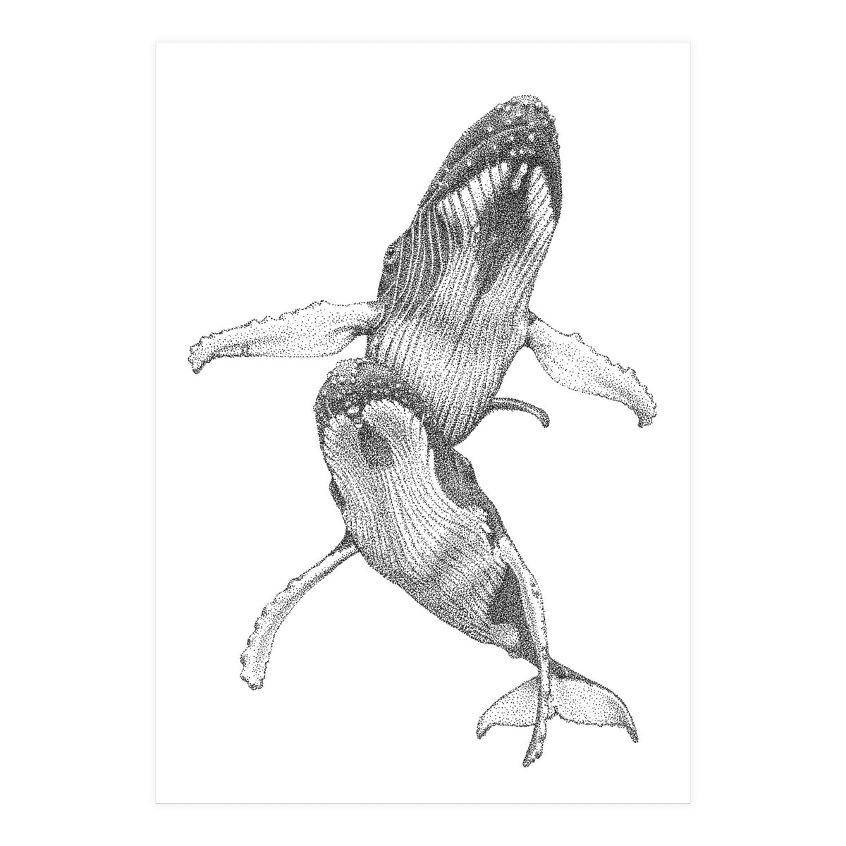 Humpacks no. 1 (Print Only)