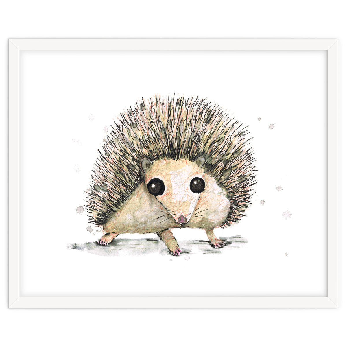Hedgehog