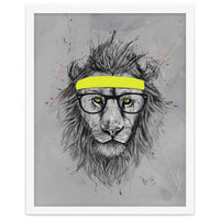 Hipster Lion