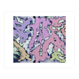 A Soft Choice (Print Only) thumbnail