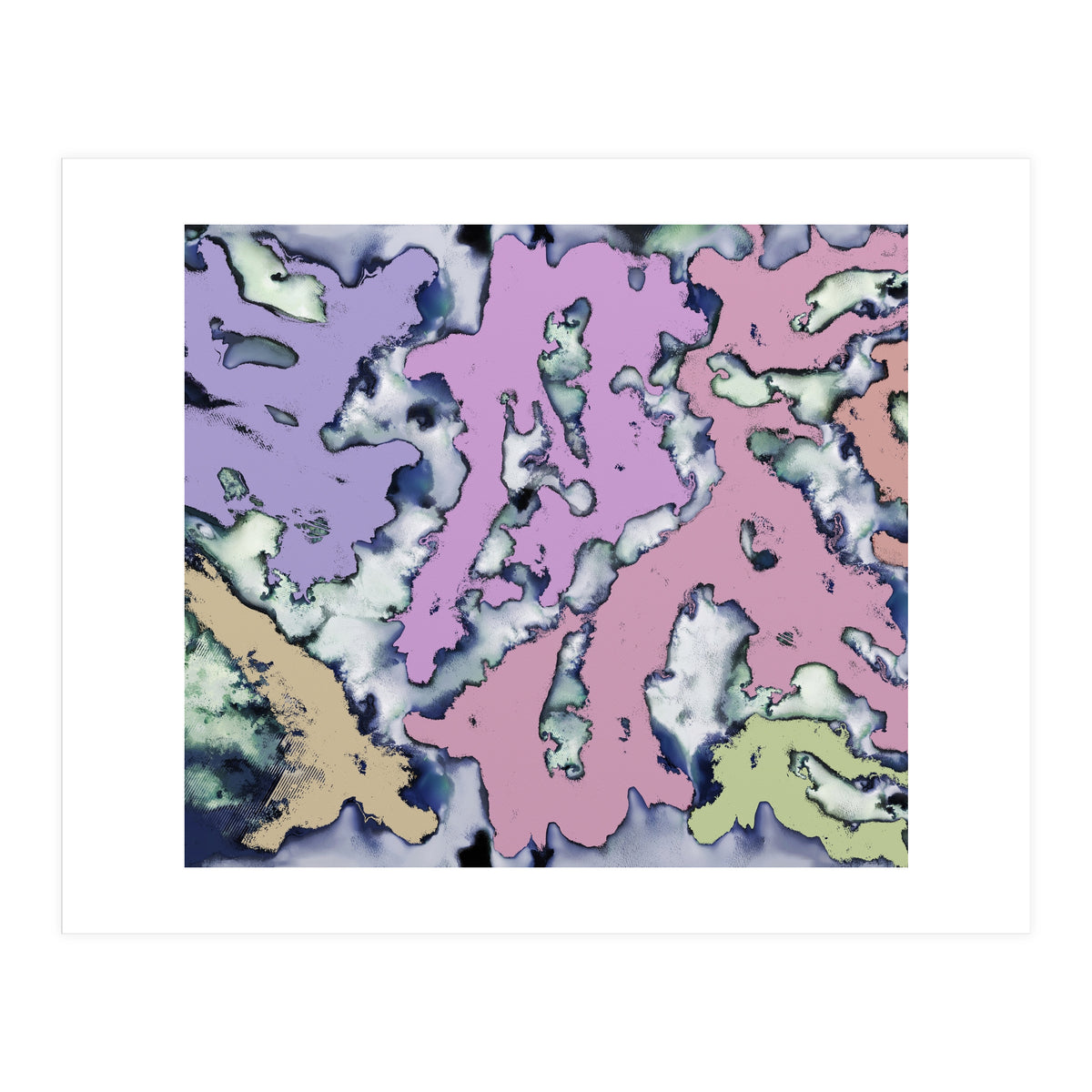 A Soft Choice (Print Only)