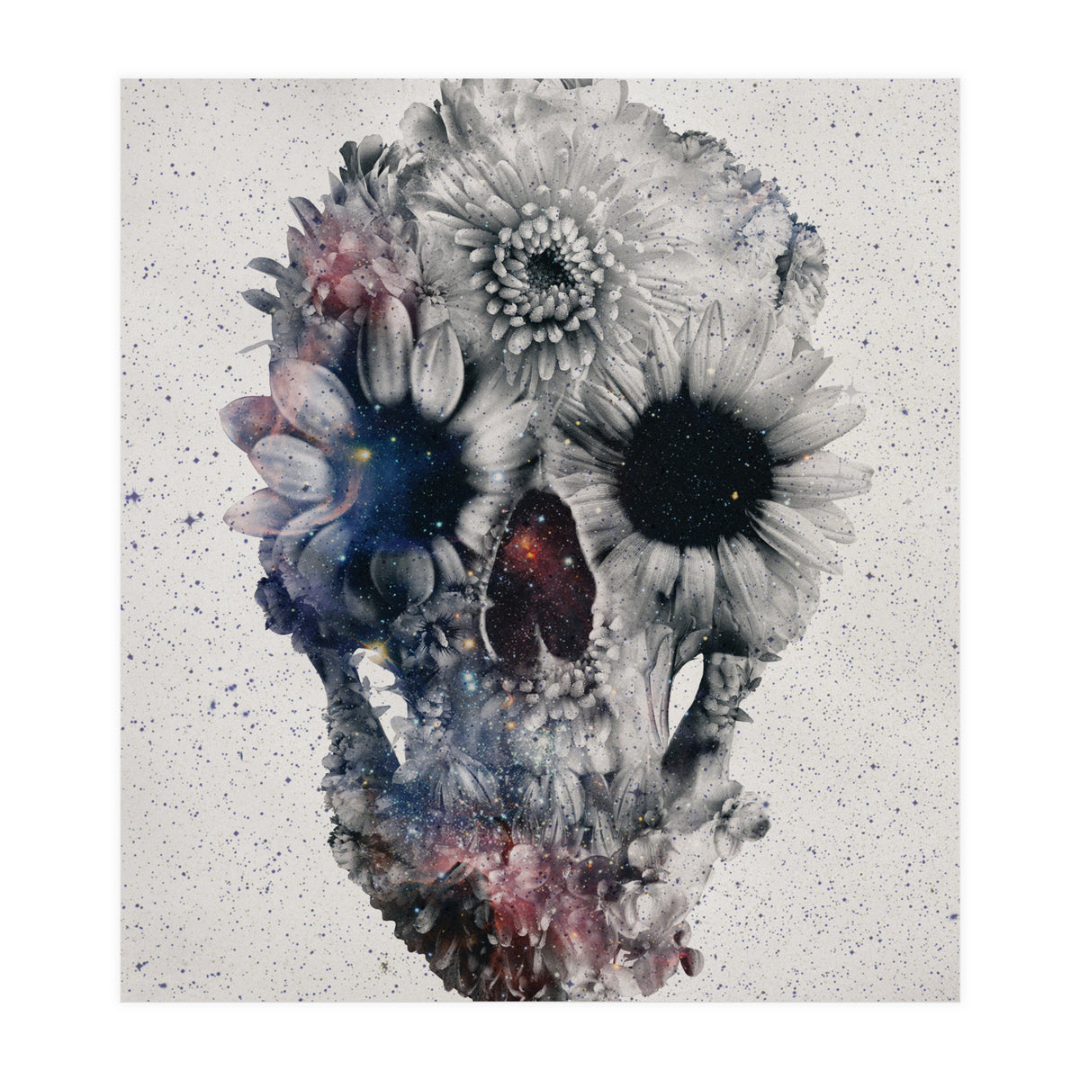 Floral Skull 2 (Print Only)